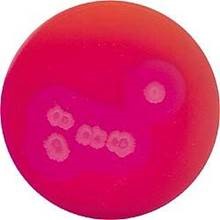 291216.jpg 291216.jpg